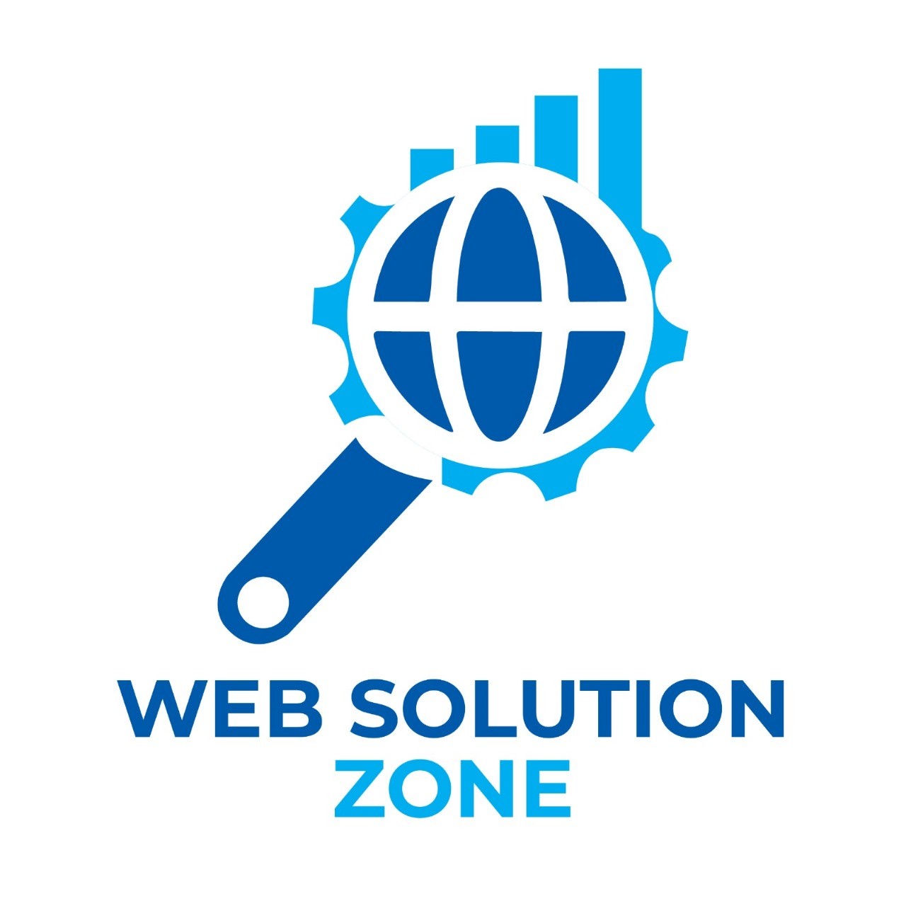 Web Solution Zone