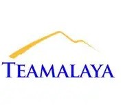 Teamalaya Recruitment Dubai