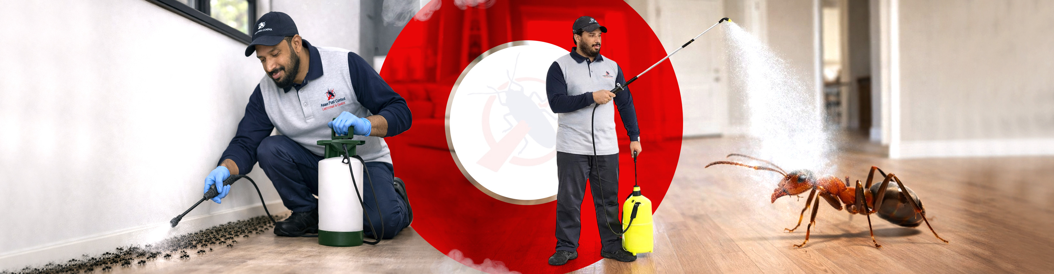 # Ants Exterminator - Get 20% Discount-pic_1