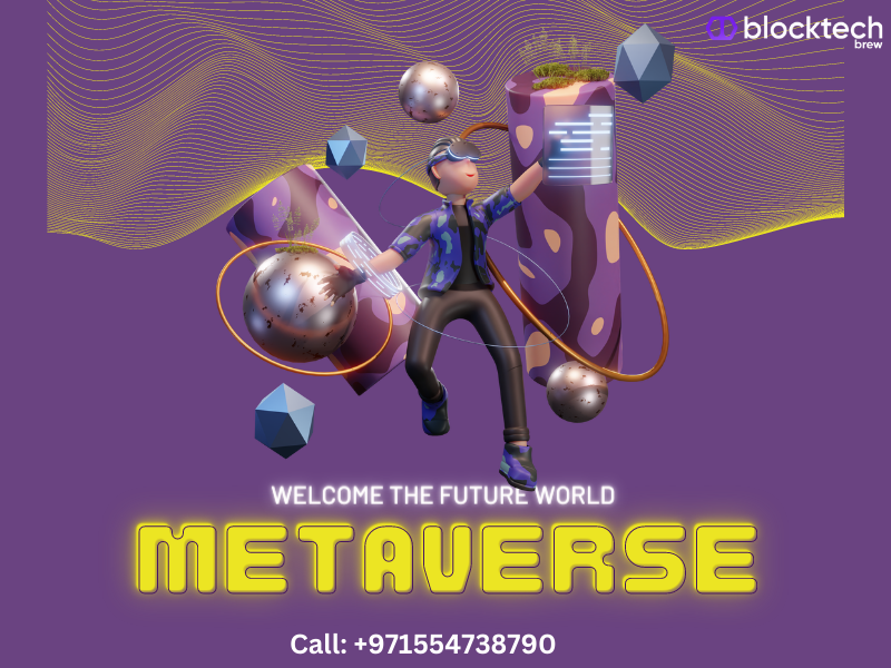 Hire the leading Metaverse App Development Company-image
