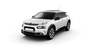 C4 CACTUS