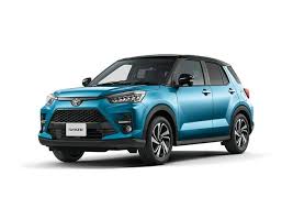 RAIZE